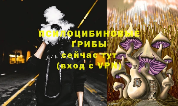 2c-b Алексин