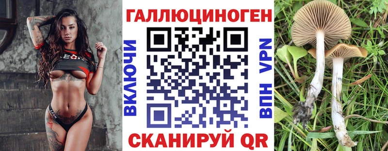 наркошоп  Стародуб  Галлюциногенные грибы MAGIC MUSHROOMS 